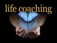Experience life and business coaching from a professional